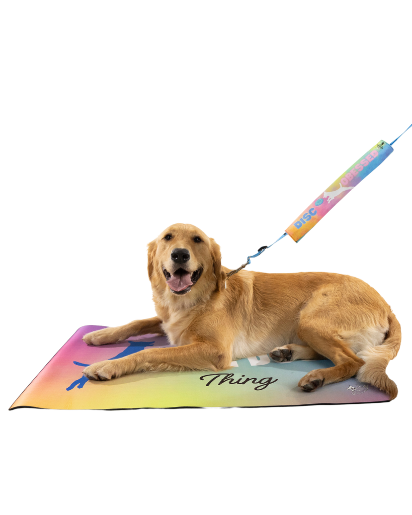 Disc Dog Travel Mat- Settle Mat Wag Around Town