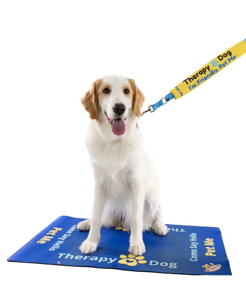 Therapy Dog Travel Mat- Therapy Dog Settle Mat Wag Around Town