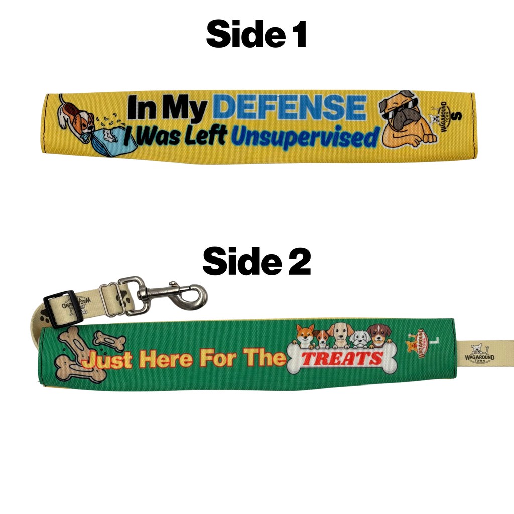 Left Unsupervised- Leash Cover Wag Around Town
