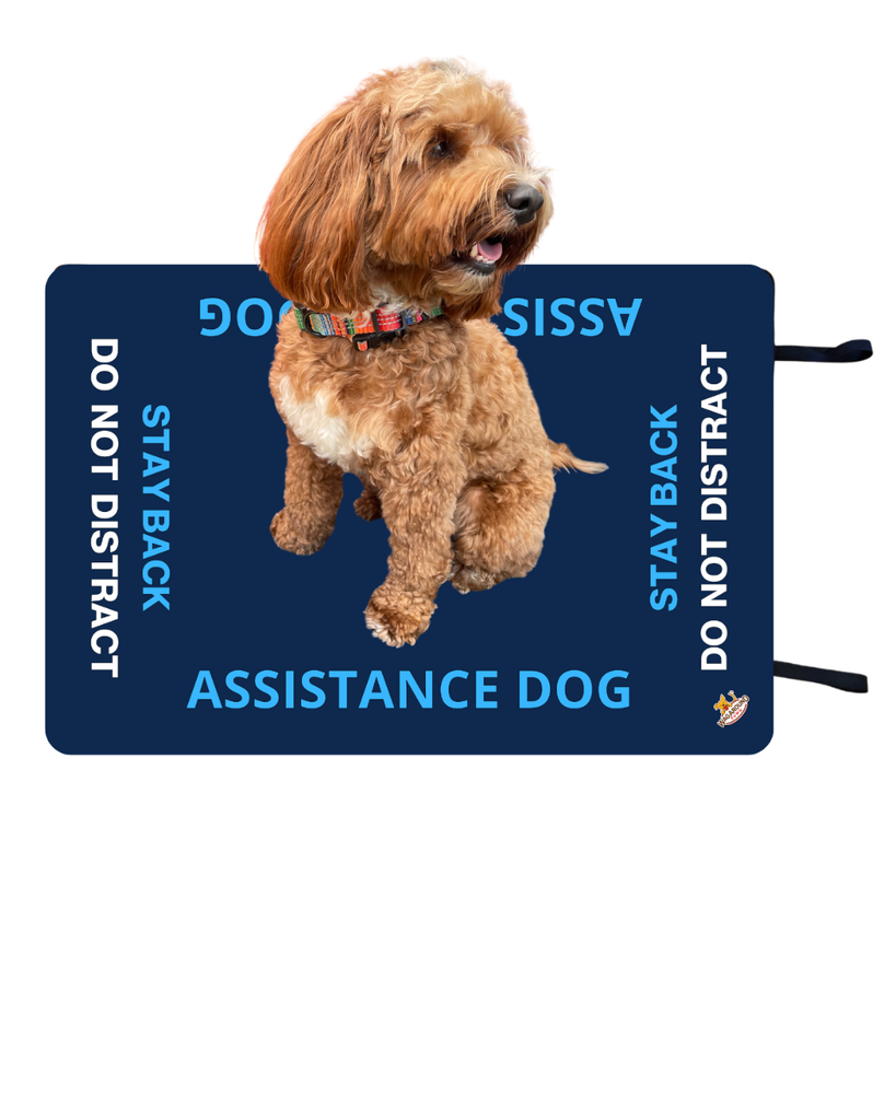 Dog Travel Mats - Wag Around Town