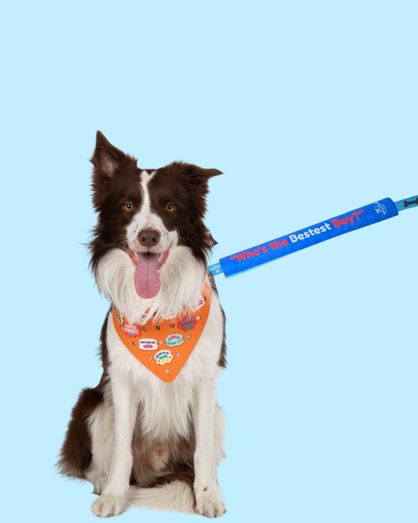 Bestest Boy- Leash Cover Wag Around Town