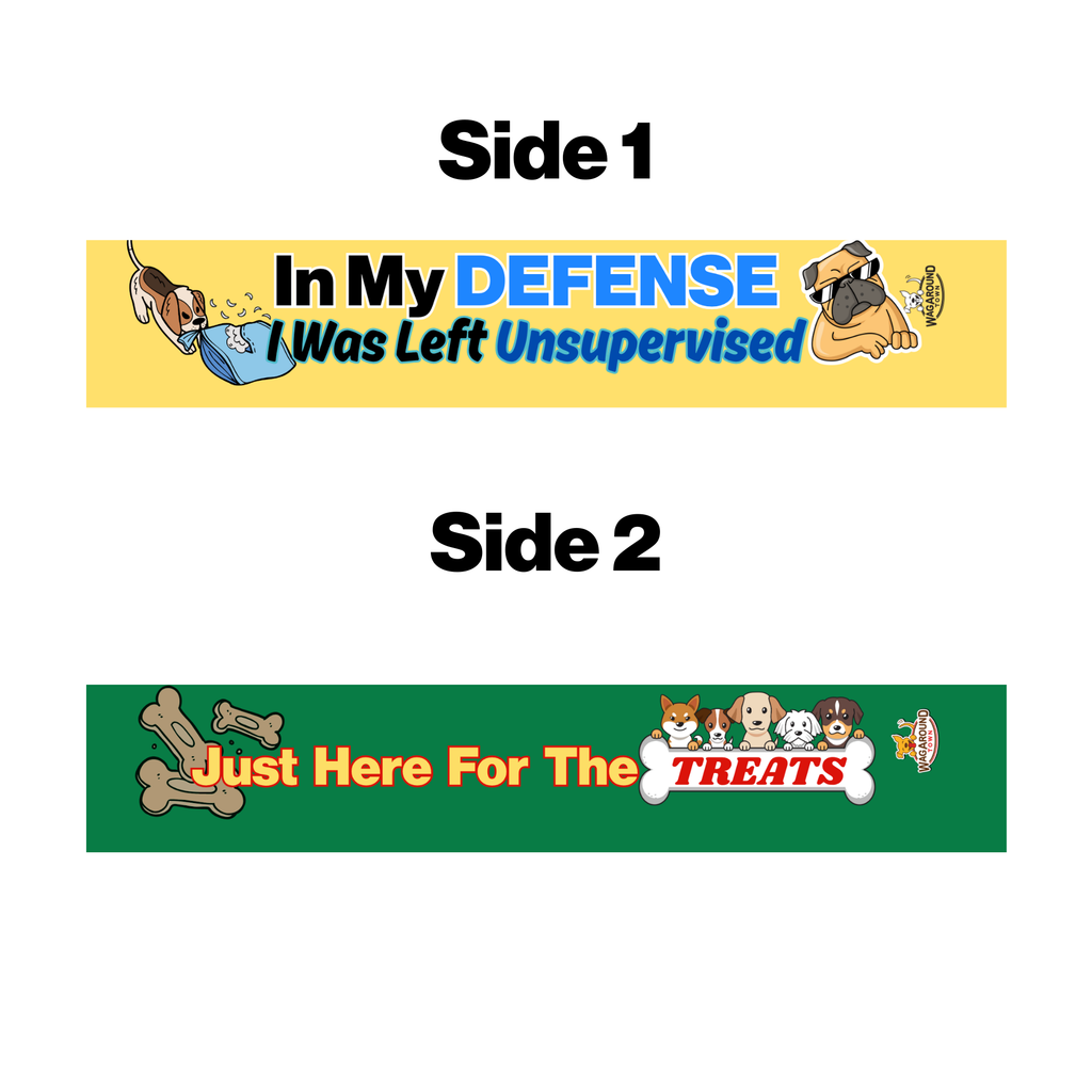 Left Unsupervised- Leash Cover Wag Around Town