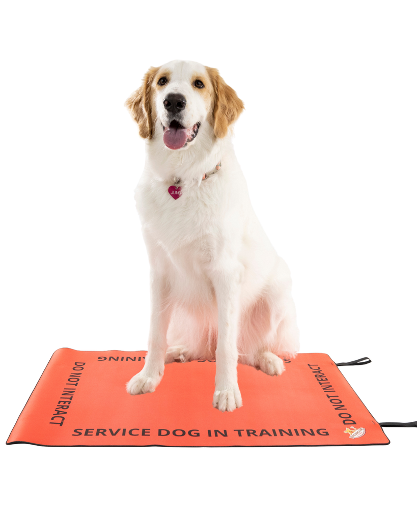 Service Dog/ Working Dog In Training Travel Mat- Service Dog In Training Settle Mat Wag Around Town