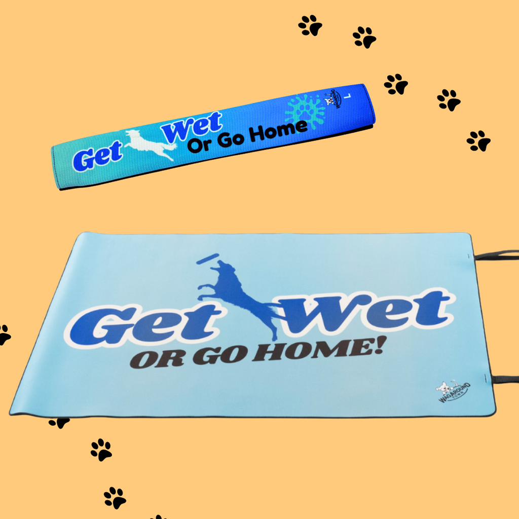 Dog Travel Mat and Carry Leash Combo- Dog Travel Mat Combo Wag Around Town
