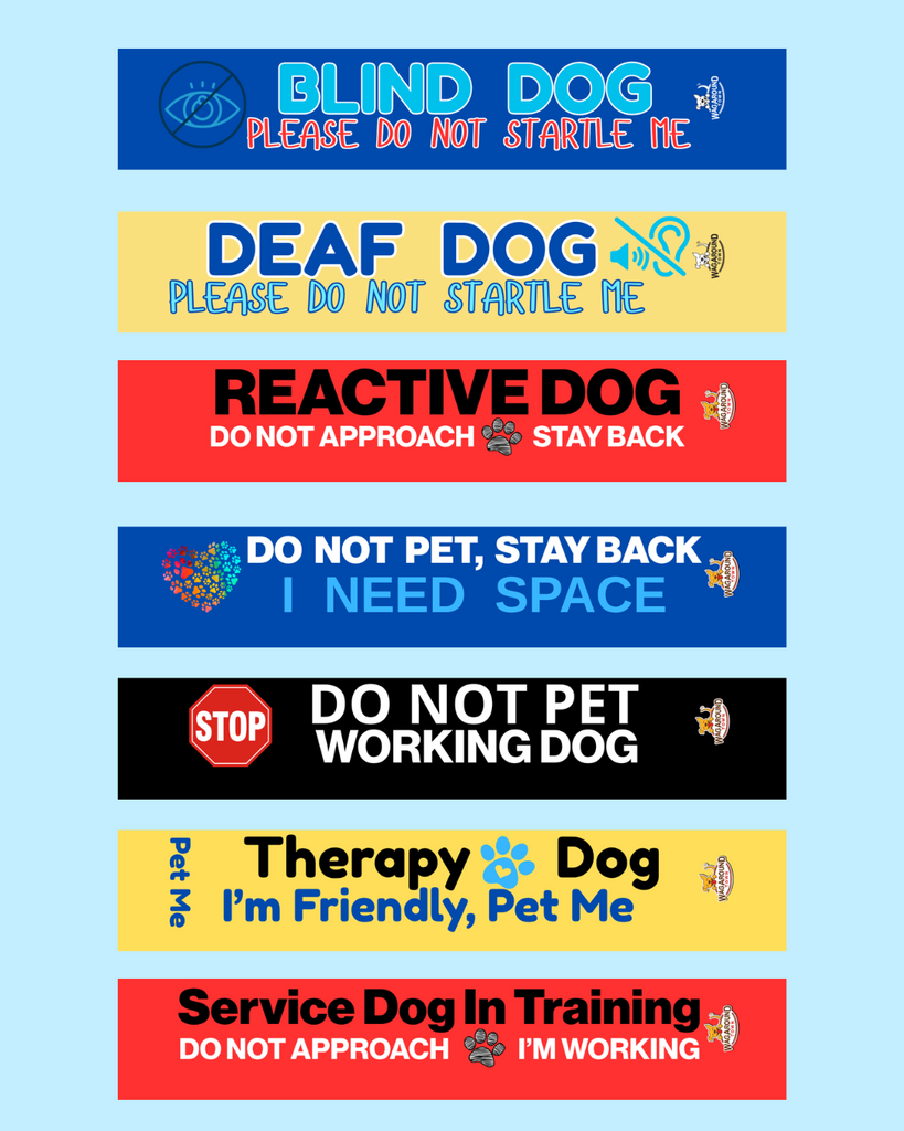 I NEED SPACE- Leash Cover Wag Around Town