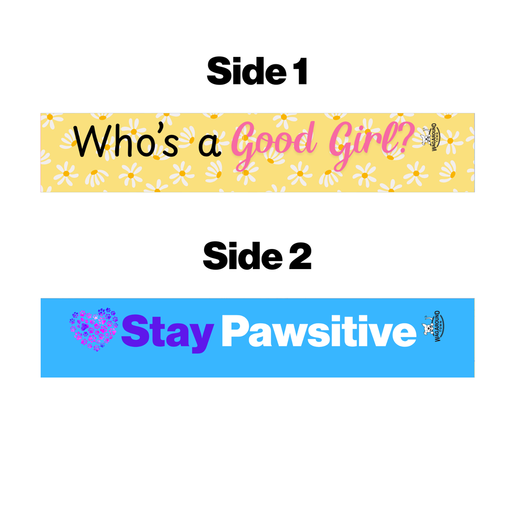 Whos A Good Girl- Leash Cover Wag Around Town