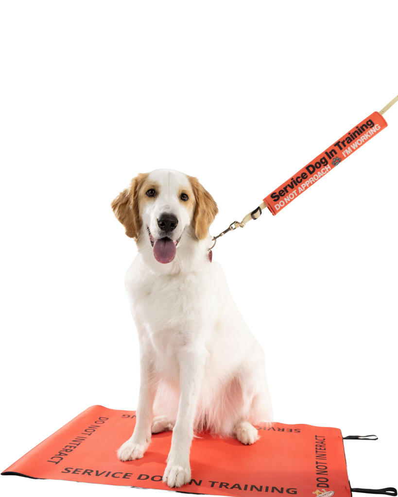 Service Dog/ Working Dog In Training Travel Mat- Service Dog In Training Settle Mat Wag Around Town