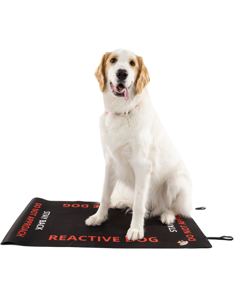 Reactive Dog Travel Mat- Reactive Dog Settle Mat Wag Around Town