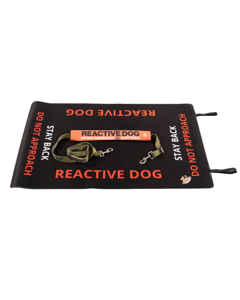 Reactive Dog Travel Mat- Reactive Dog Settle Mat Wag Around Town