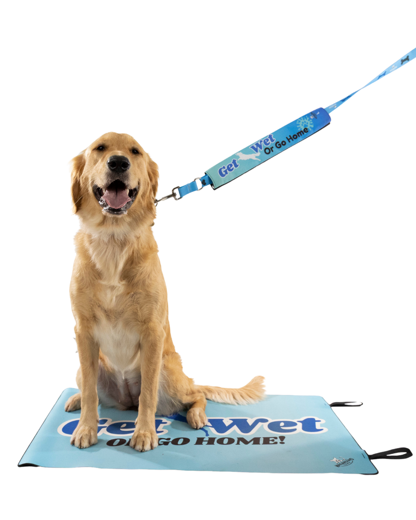 Dock Diving Dog Travel Mat- Settle Mat Wag Around Town