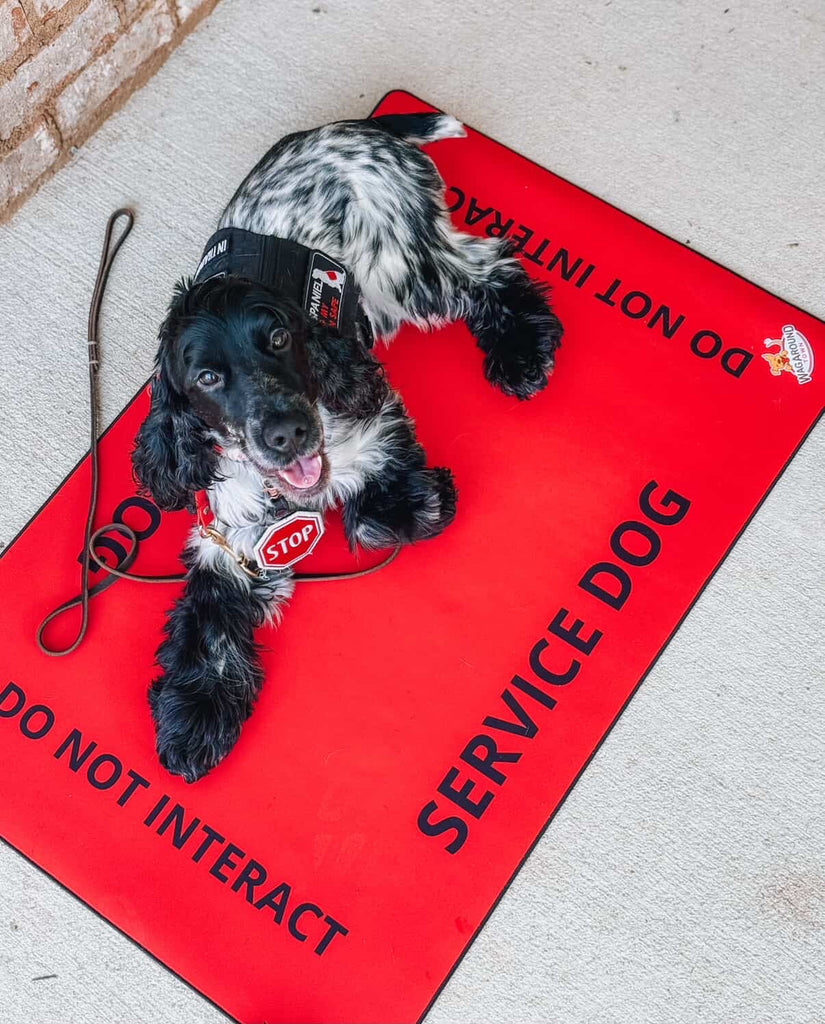 Service Dog/ Working Dog Travel Mat- Service Dog Settle Mat Wag Around Town