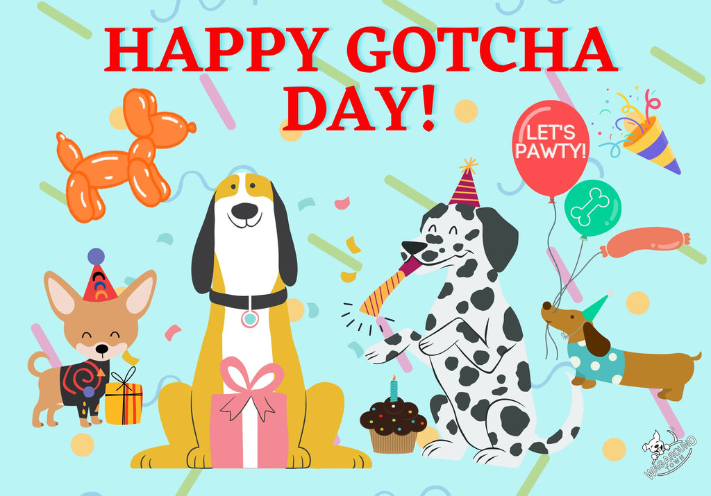 Lets Pawty! Birthday/Gotcha Day Wag Around Town