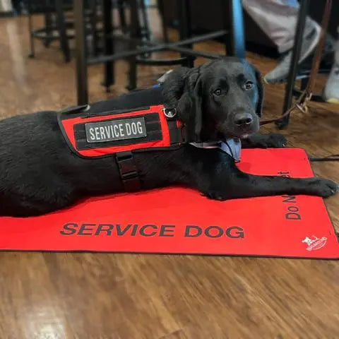 Service Dog/ Working Dog Travel Mat Wag Around Town