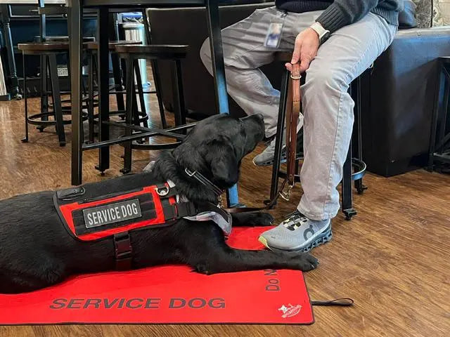 Service Dog/ Working Dog Travel Mat Wag Around Town