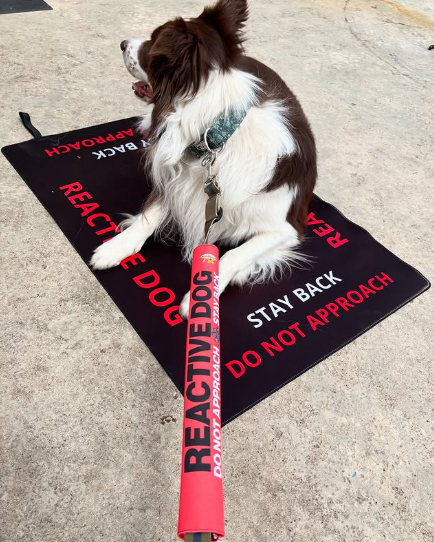 Reactive Dog Travel Mat- Reactive Dog Settle Mat Wag Around Town