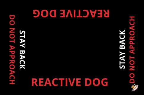 Reactive Dog Travel Mat- Reactive Dog Settle Mat Wag Around Town