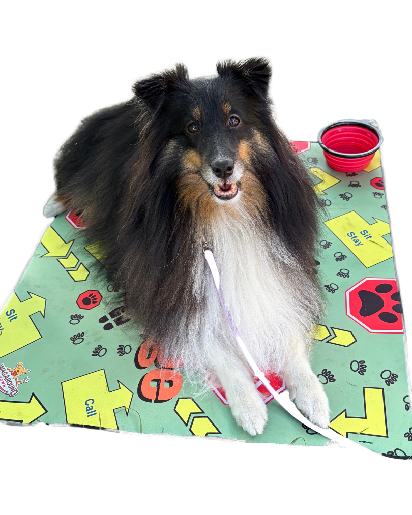 Service Dog Travel Mat - Wag Around Town