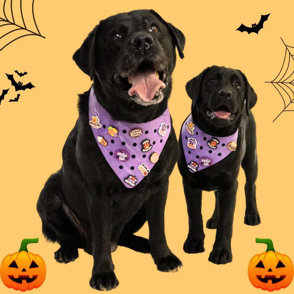 Charmdana-  Halloween - Rubber Dog Bandana Loaded with Spooky Charms! Wag Around Town