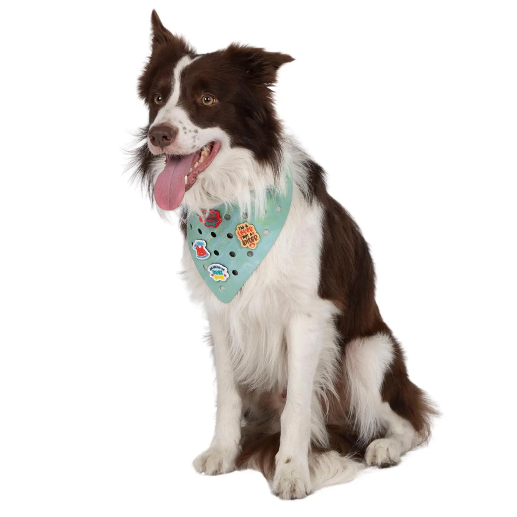 Charmdana- Light Weight- Seafoam- Rubber Dog Bandana with Charms! Wag Around Town