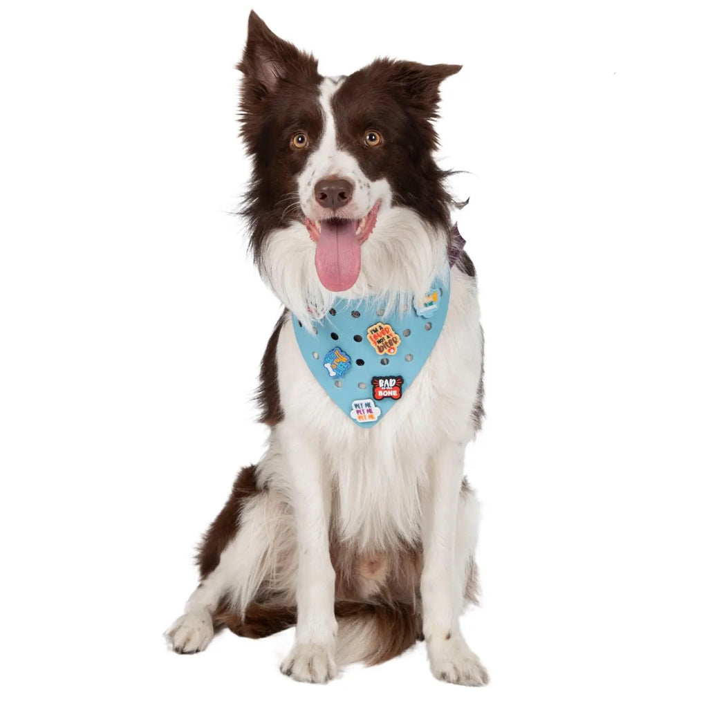 Charmdana- Light Weight- Blue - Rubber Dog Bandana with Charms! Wag Around Town