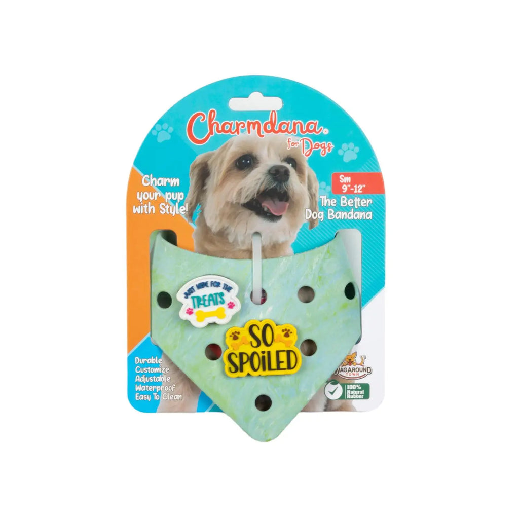 Charmdana- Light Weight- Seafoam- Rubber Dog Bandana with Charms! Wag Around Town