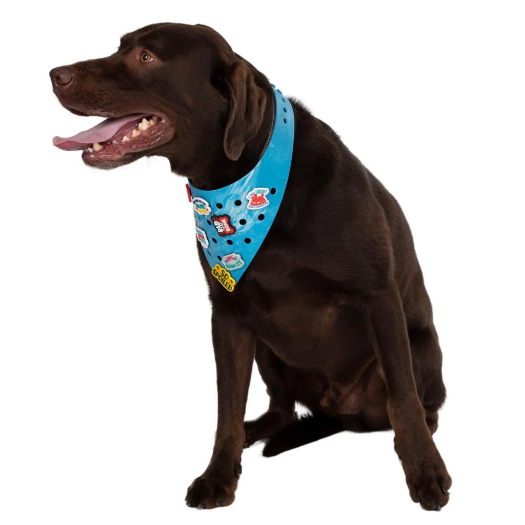 Charmdana-  Light Weight- Blue Wave- Rubber Dog Bandana with Charms! Wag Around Town