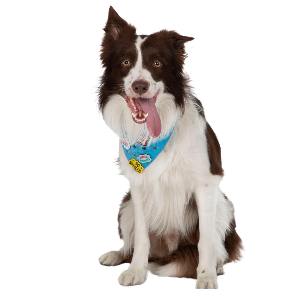 Charmdana-  Light Weight- Blue Wave- Rubber Dog Bandana with Charms! Wag Around Town