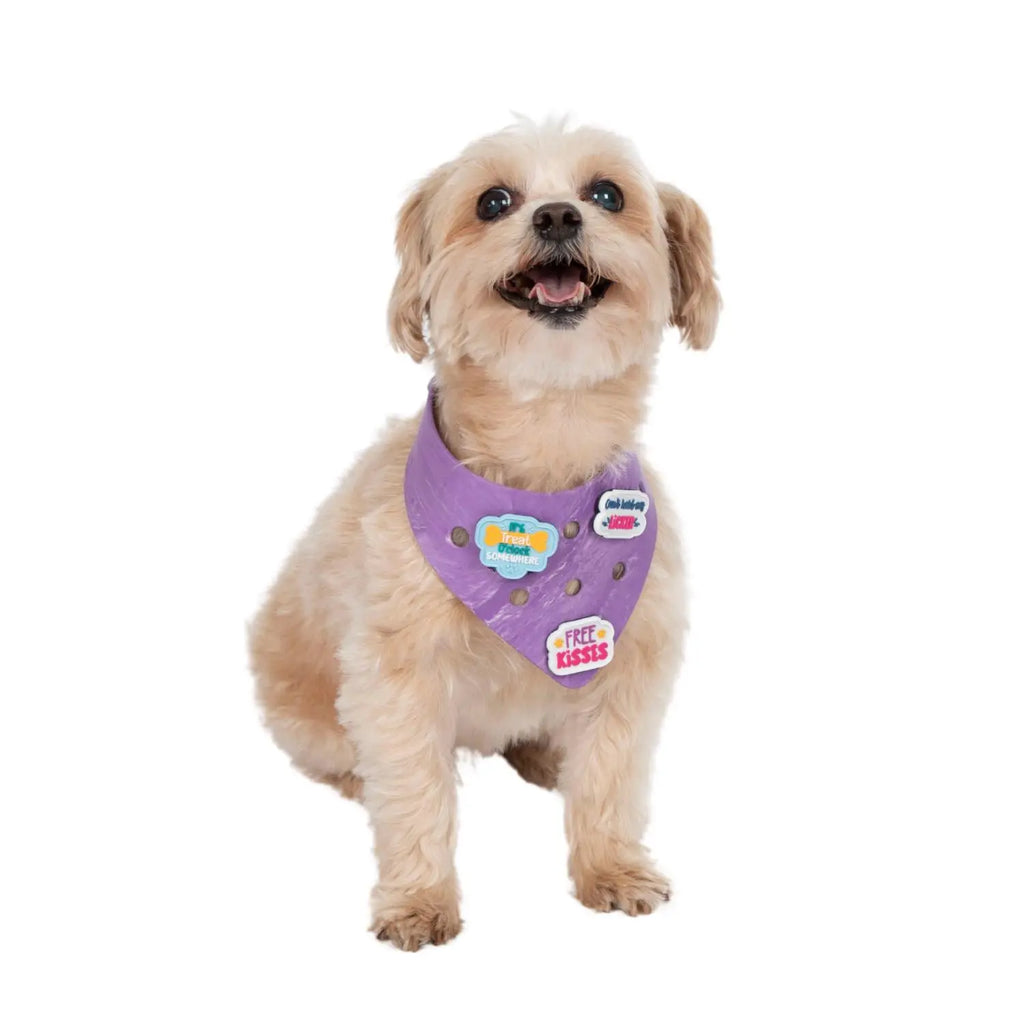 Charmdana-  Light Weight- Violet - Rubber Dog Bandana with Charms! Wag Around Town