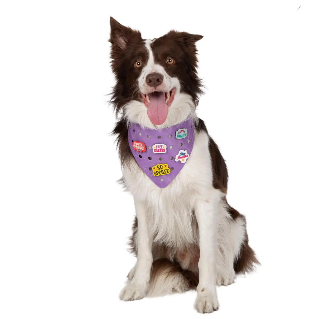 Charmdana-  Light Weight- Violet - Rubber Dog Bandana with Charms! Wag Around Town