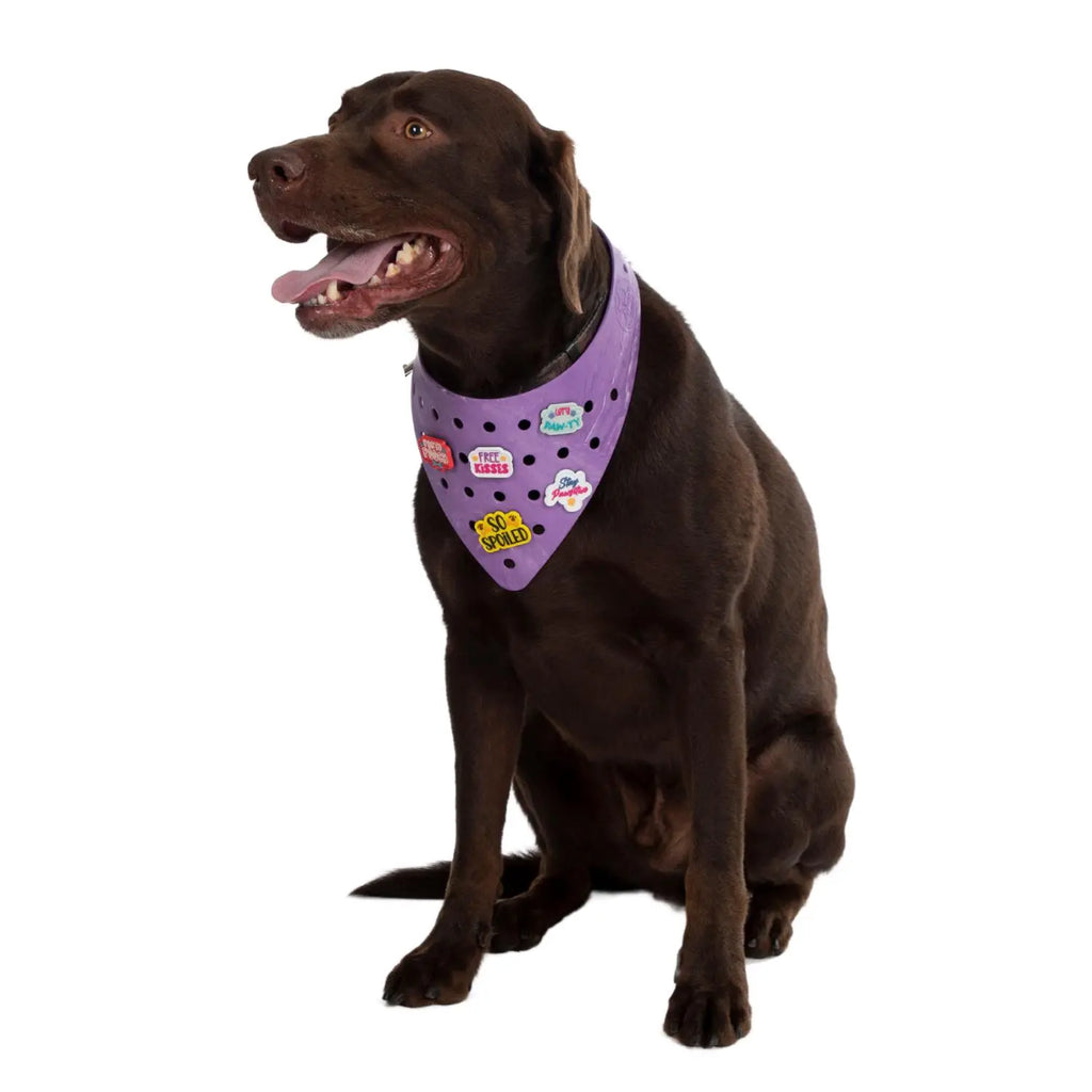 Charmdana-  Light Weight- Violet - Rubber Dog Bandana with Charms! Wag Around Town