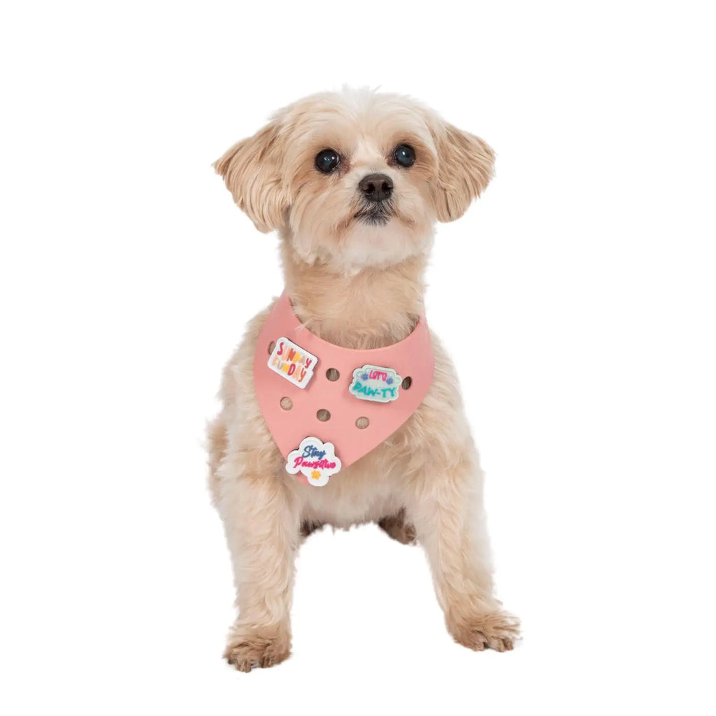 Charmdana- Light Weight-  Pink - Rubber Dog Bandana with Charms! Wag Around Town