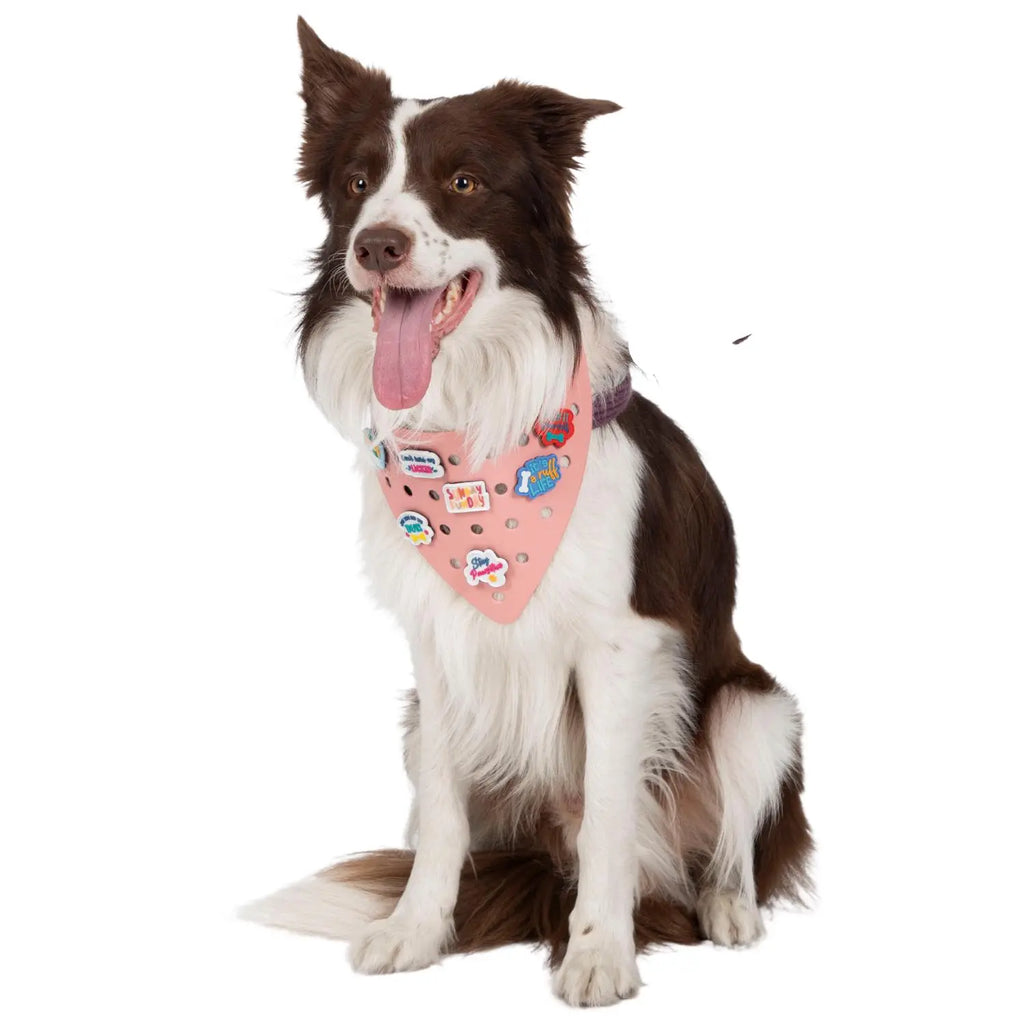 Charmdana- Light Weight-  Pink - Rubber Dog Bandana with Charms! Wag Around Town