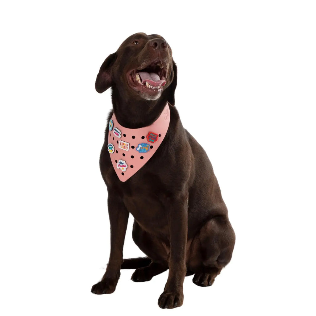 Charmdana- Light Weight-  Pink - Rubber Dog Bandana with Charms! Wag Around Town