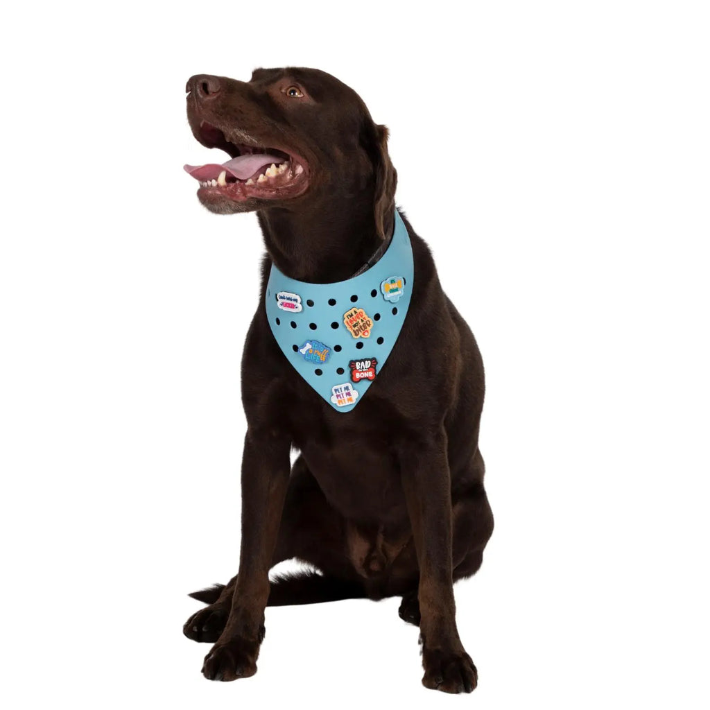 Charmdana- Light Weight- Blue - Rubber Dog Bandana with Charms! Wag Around Town