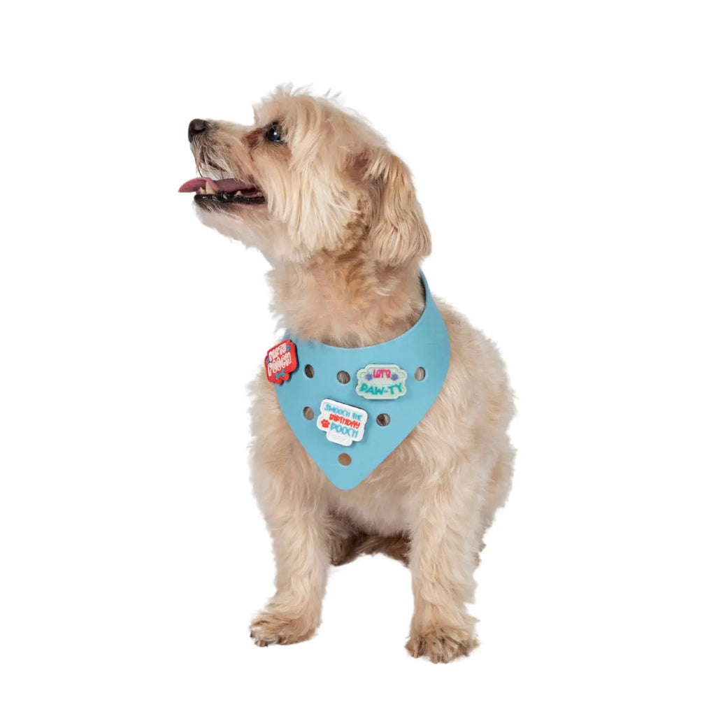 Charmdana- Light Weight- Blue - Rubber Dog Bandana with Charms! Wag Around Town