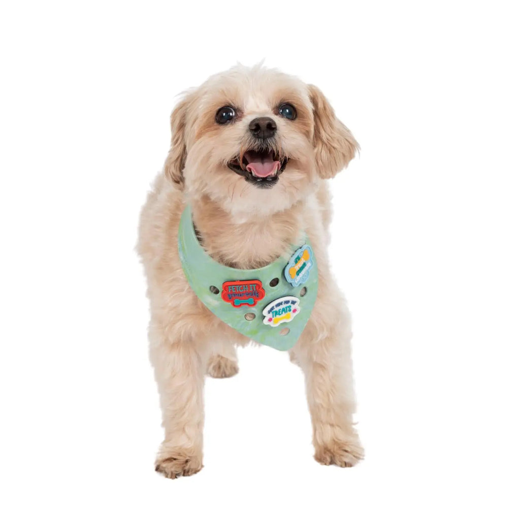 Charmdana- Light Weight- Seafoam- Rubber Dog Bandana with Charms! Wag Around Town