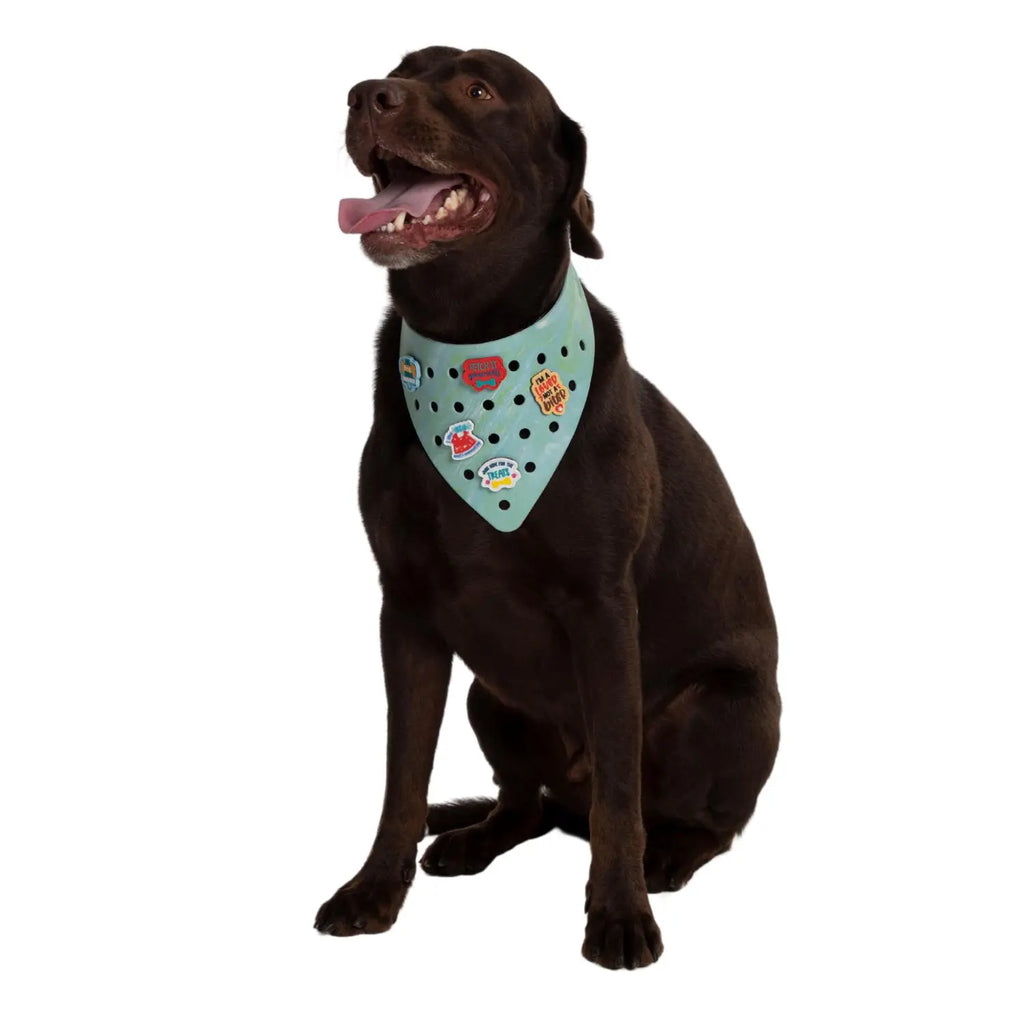 Charmdana- Light Weight- Seafoam- Rubber Dog Bandana with Charms! Wag Around Town