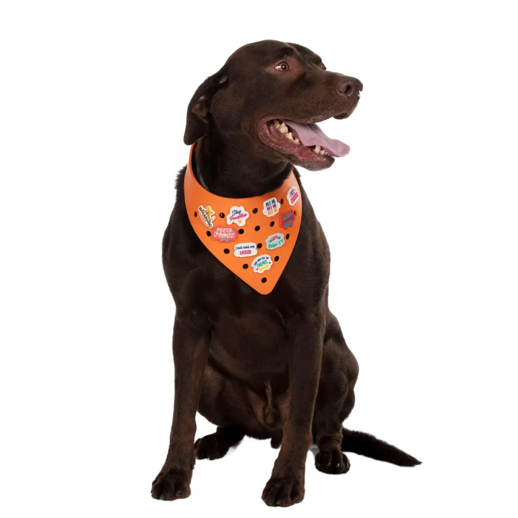 Charmdana-  Light Weight- Orange - Rubber Dog Bandana with Charms! Wag Around Town