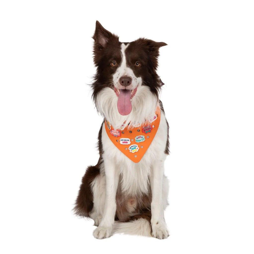 Charmdana-  Light Weight- Orange - Rubber Dog Bandana with Charms! Wag Around Town