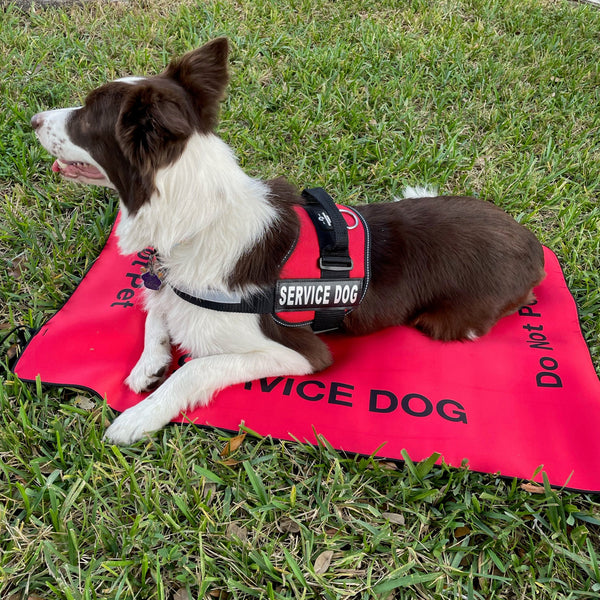 Service Dog Place Training Mat Settle Mat Quilted Training Place