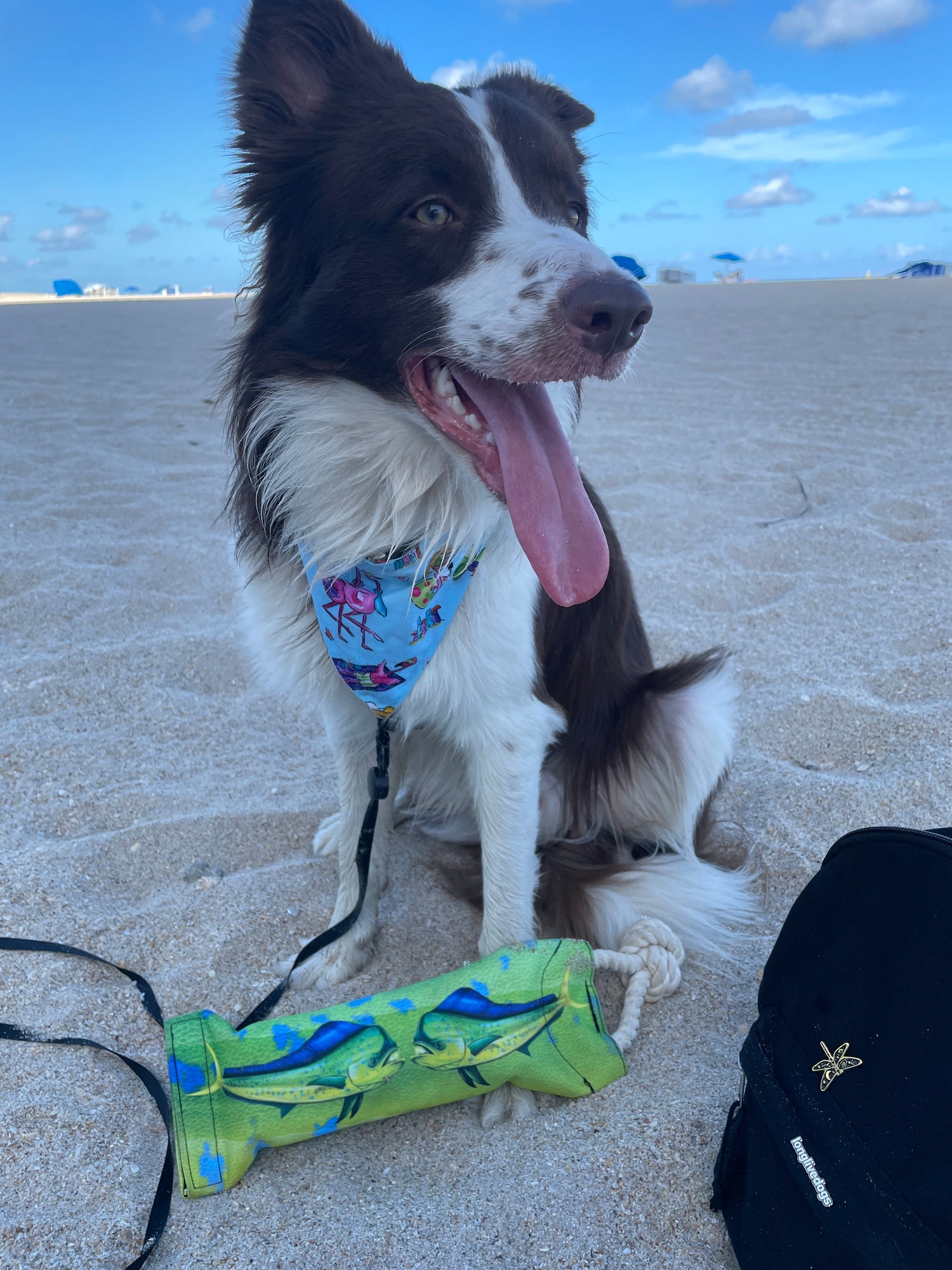 Florida Beach Towns Water Bottle