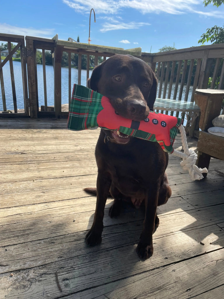 Christmas Reusable Water Bottle Tug Toy Wag Around Town