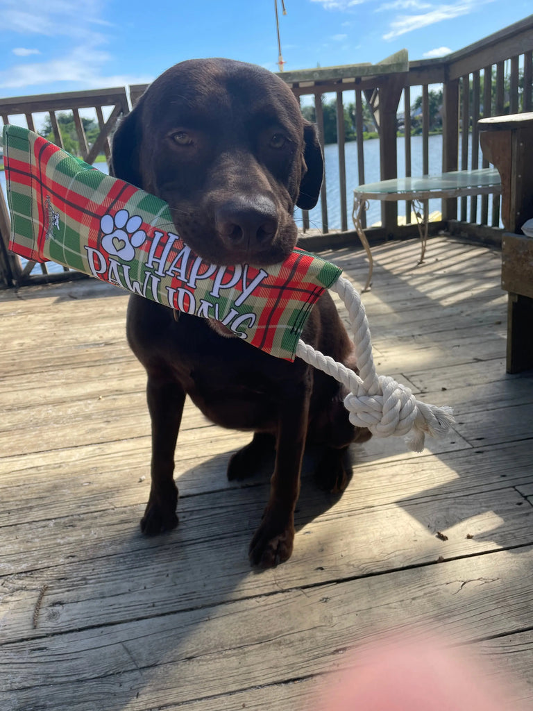 Christmas Reusable Water Bottle Tug Toy Wag Around Town