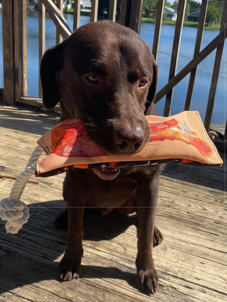 Thanksgiving Reusable Water Bottle Tug Toy Wag Around Town