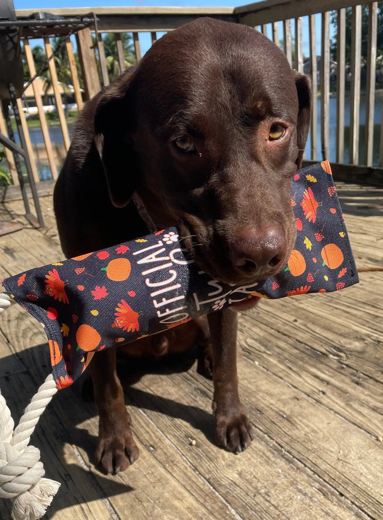 Halloween Reusable Water Bottle Tug Toy Wag Around Town